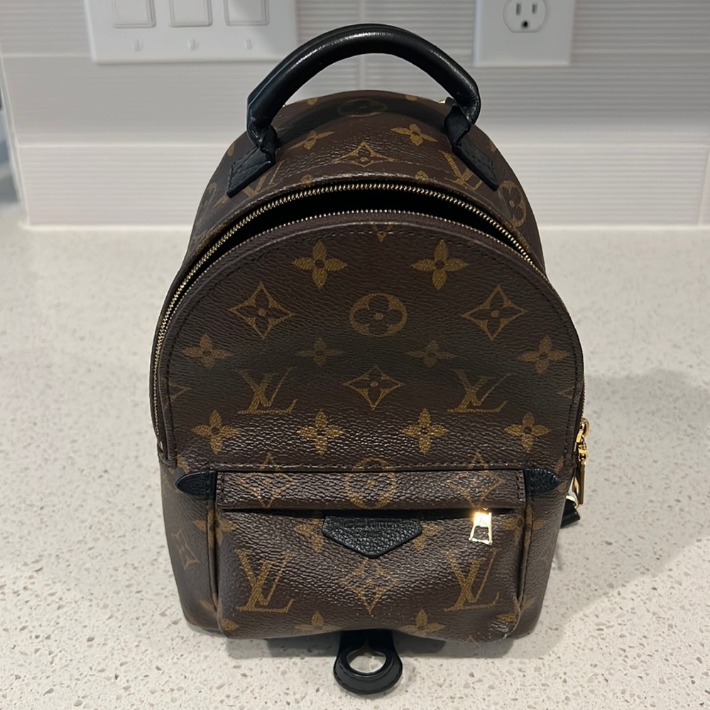 Louis Vuitton Palms Springs Mini Backpack